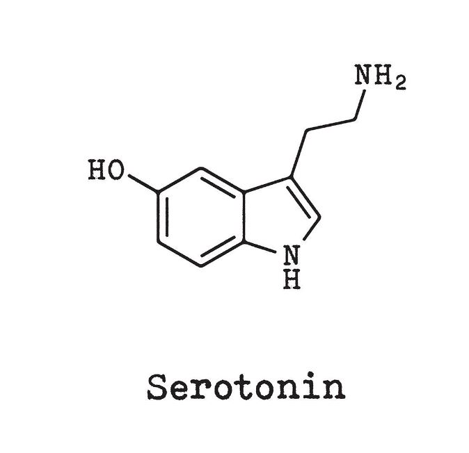 Those with serotonin mental health symbol tattoos may have it as a reminder to stay happy and calm. So you can be the one to have control over your happiness and mental wellbeing.