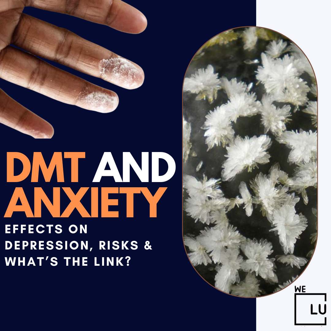 DMT and Anxiety: Effects on Depression, Risks & What’s The Link?